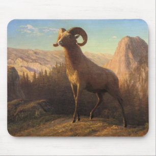 een Rocky Mountain-schaap, Bierstadt Albert Muismat