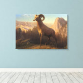 Een Rocky Mountain Sheep, Bierstadt Albert Canvas Afdruk (Insitu (Houten vloer))