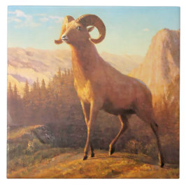 Een Rocky Mountain Sheep van A. Bierstadt Tegeltje