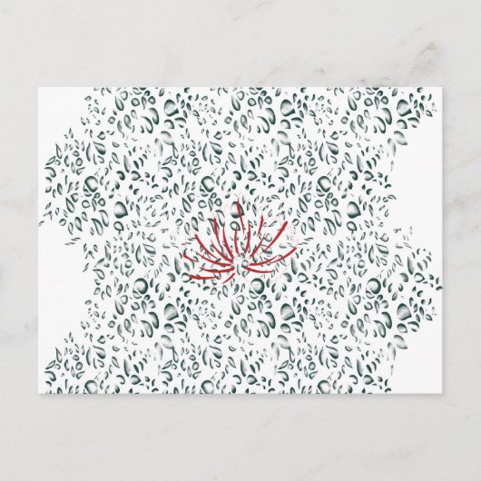 Een rode bloem op een zwarte achtergrond briefkaart (Voorkant)