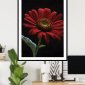 Een rode daisy linkerkant op zwart, poster (Thuiskantoor)