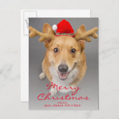 Een rode en witte hond Pembroke Welse Corgi Feestdagenkaart (Voorkant / Achterkant)