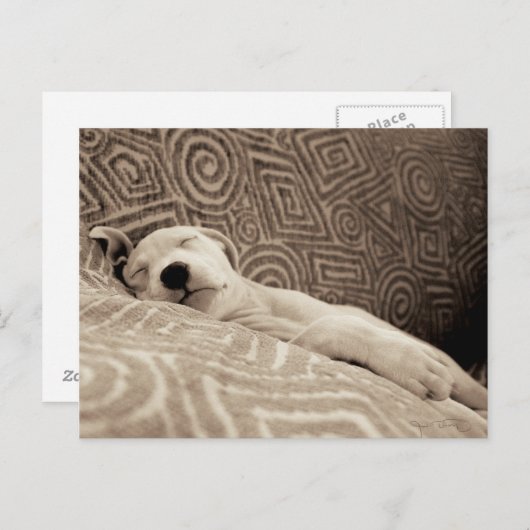 Een rode hond briefkaart (Voorkant / Achterkant)