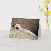 Een rode hond kaart (Gele Bloem)