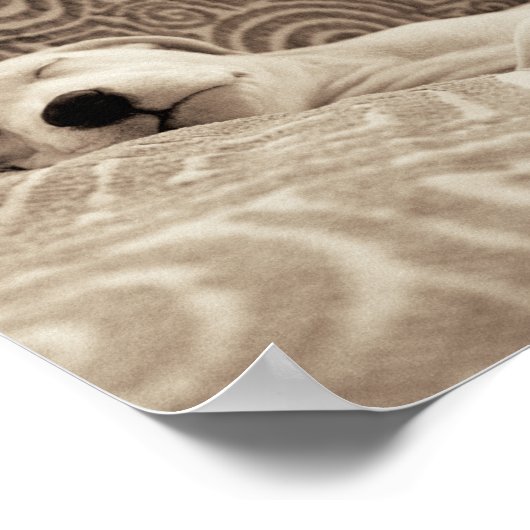 Een rode hond poster (Hoek)