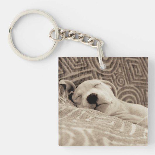 Een rode hond sleutelhanger (Voorkant)