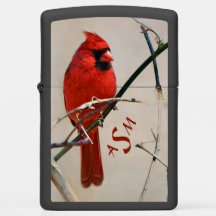 Een rode kardinale vogel op een vertakking in de B