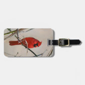 Een rode kardinale vogel op een vertakking in de B Bagagelabel (Voorkant horizontaal)