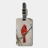 Een rode kardinale vogel op een vertakking in de B Bagagelabel (Voorkant verticaal)