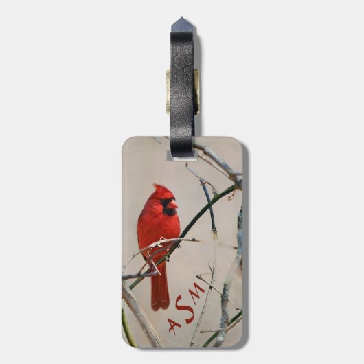 Een rode kardinale vogel op een vertakking in de B Bagagelabel (Achterkant verticaal)