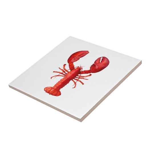 Een rode kreeft op witte schaal tegeltje (Zijkant)
