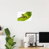 Een Rode Oog Boomkikker Poster (Thuiskantoor)