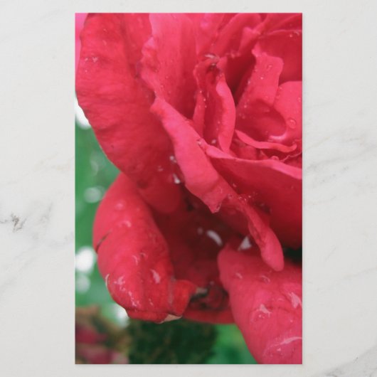 Eén Rode Roos Briefpapier (Voorkant)