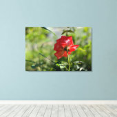Een rode roos canvas afdruk (Insitu (Houten vloer))