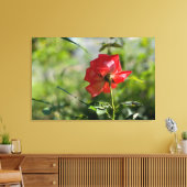 Een rode roos canvas afdruk (Insitu (Woonkamer))