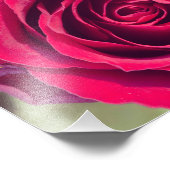 Een rode roos foto afdruk (Hoek)