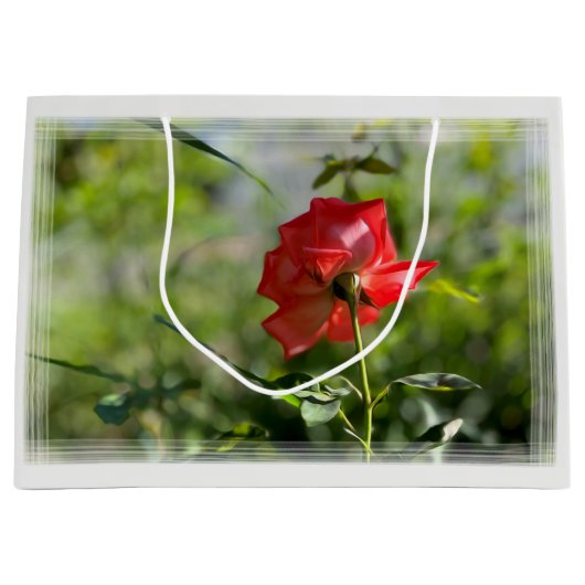 Een rode roos groot cadeauzakje (Voorkant)