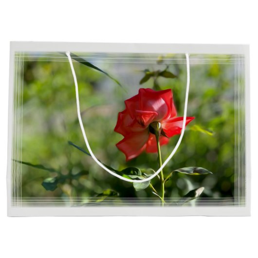 Een rode roos groot cadeauzakje (Achterkant)