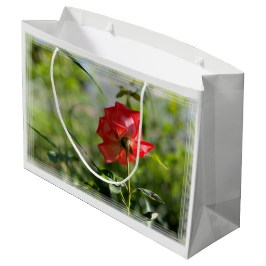 Een rode roos groot cadeauzakje (Achterkant Gekanteld)