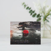 Een rode roos in de regen briefkaart (Staand voorkant)