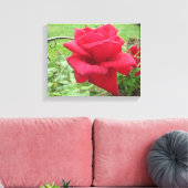 Een rode roos in de regen wandkleed canvas afdruk (Insitu (Woonkamer))