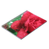 Eén Rode Roos Notitieboek (Linkerzijde)