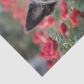 Een rode roos voor de zwarte Schotse terriër Tissuepapier (Detail)