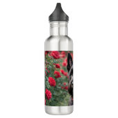 Een rode roos voor de zwarte Schotse terriër Waterfles (Links)