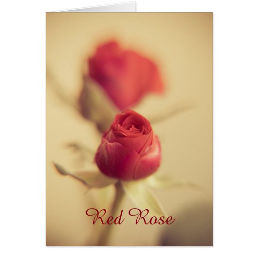Een rode roos voor je schat... (Voorkant)