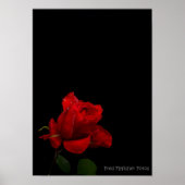 Een rode Rose Poster (Voorkant)