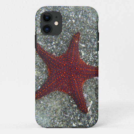 Een rode staartvis | Galapagos, Equador Case-Mate iPhone Case (Achterkant)