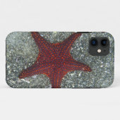 Een rode staartvis | Galapagos, Equador Case-Mate iPhone Case (Achterkant (horizontaal))