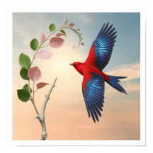 Een rode vogel met wijd verspreide, felblauwe vleu