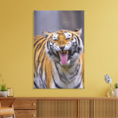 Een rokertijger, Taiwan, Taipei, Taipei Zoo Canvas Afdruk (Insitu (Woonkamer))