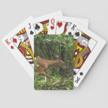 Een rol door de Bossen