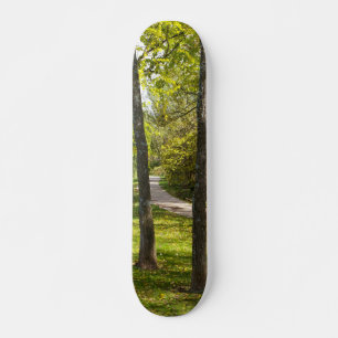 Een rol in het Park SkateBoard