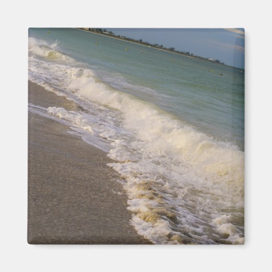 Een rol langs St Pete Beach Magneet (Voorkant)