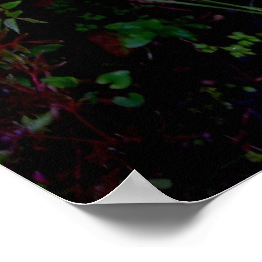 Een Romantisch Poster (Hoek)