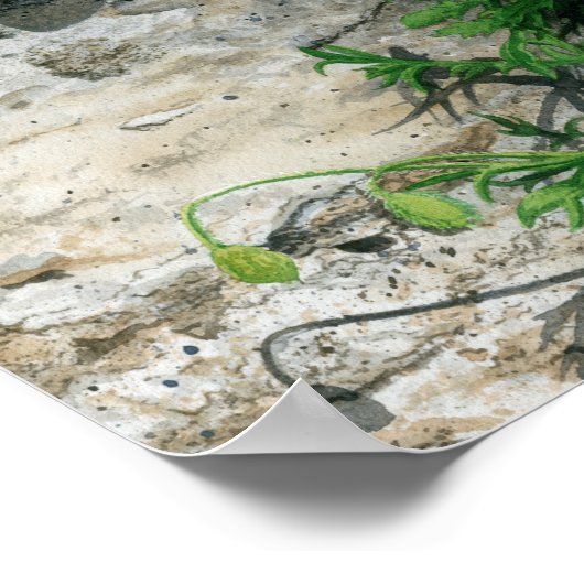 Eén ronde schaduw poster (Hoek)