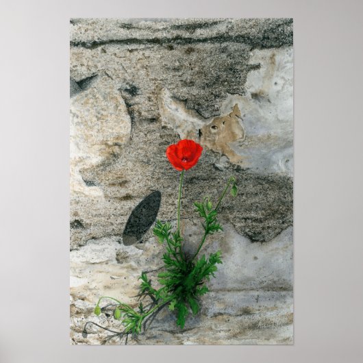 Eén ronde schaduw poster (Voorkant)