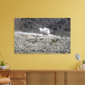 Een ronde van een AT-4 kleine raketwerper Canvas Afdruk (Insitu (Woonkamer))