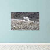 Een ronde van een AT-4 kleine raketwerper Canvas Afdruk (Insitu (Houten vloer))