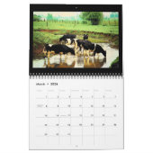 Een rondje in Amish Country Agenda Kalender (Mar 2026)