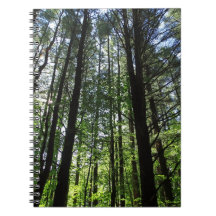 Een rondje in de Bossen Journal