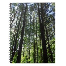 Een rondje in de Bossen Journal Notitieboek