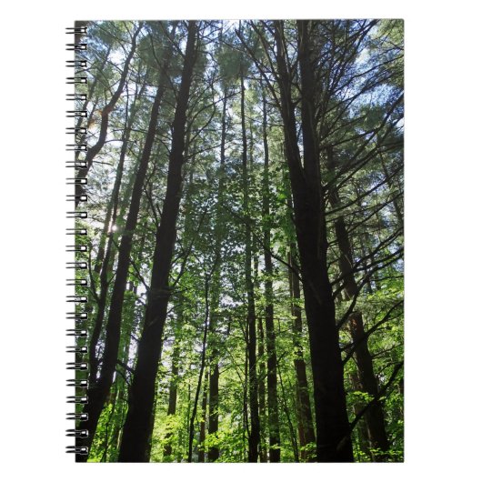 Een rondje in de Bossen Journal Notitieboek (Voorkant)