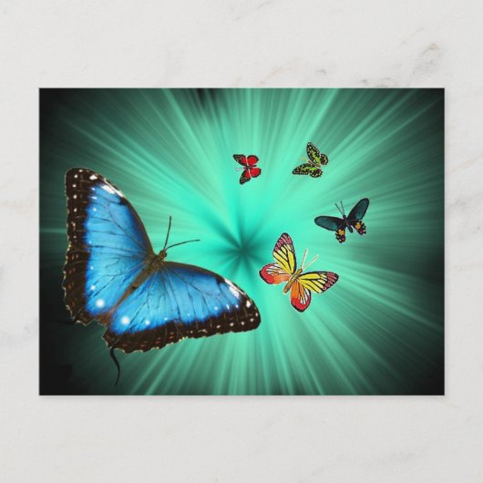 Een rondweg van Butterflys Briefkaart (Voorkant)