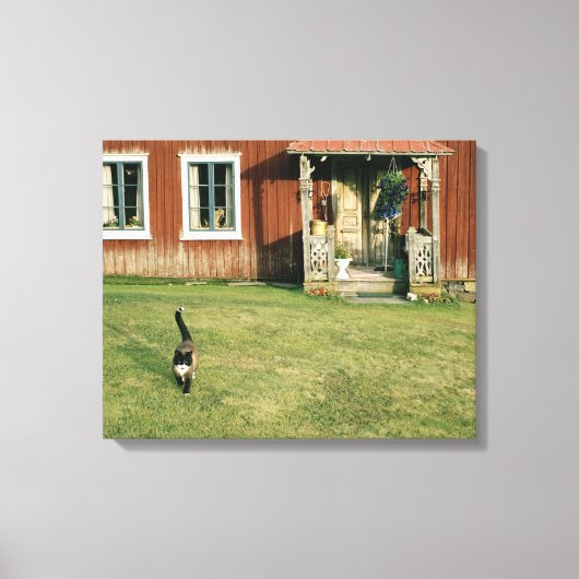 Een rood huis met een kat op het gazon. canvas afdruk (Voorkant)