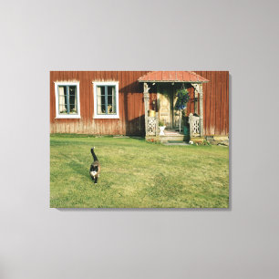 Een rood huis met een kat op het gazon. canvas afdruk