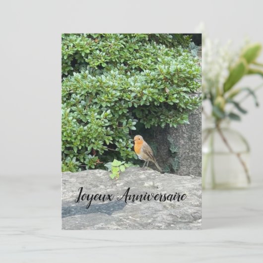 Een roodborstje (Staand voorkant)